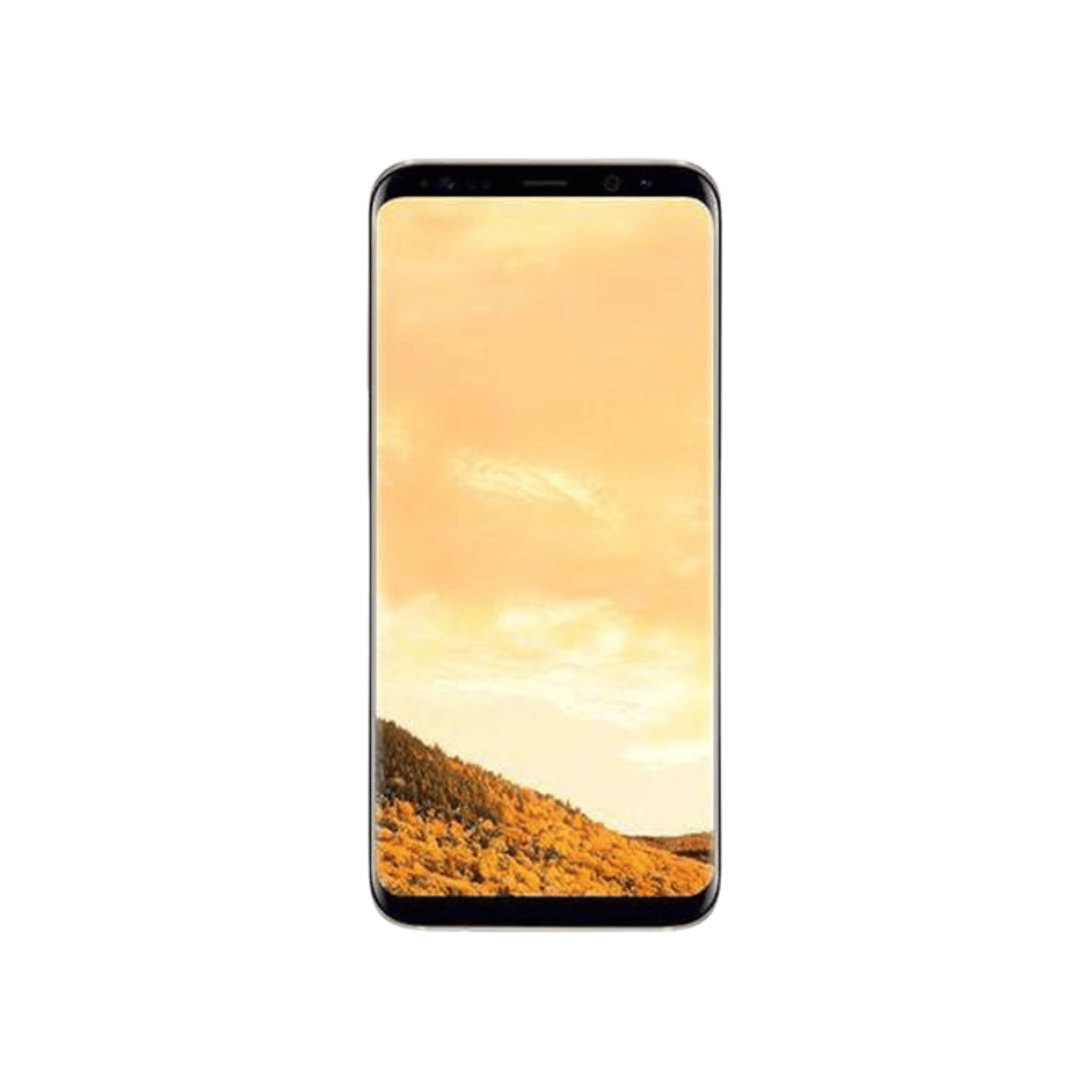 Samsung Galaxy S8 Reparaturen - Tele Adler Repair